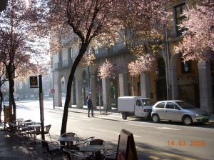 Centro de Girona, Cataluña, España