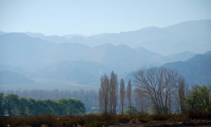 Mendoza