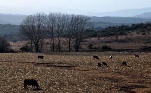 Potrero de Garay, Córdoba