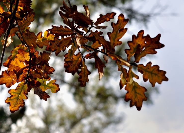 Y detrás está la luz