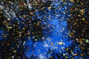 Reflejo