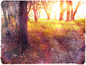 Amanecer en San Teodoro