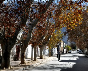 Calles de Cafayate