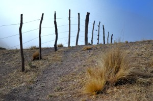 Alambrado en altura, Jujuy
