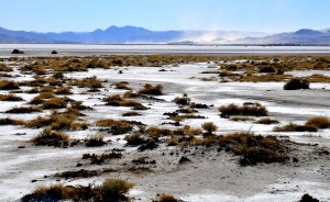 Salinas, paso Jama a Chile, Jujuy