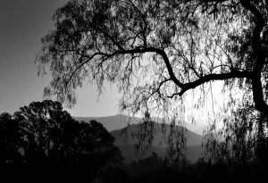 Golf de Alta Gracia 3