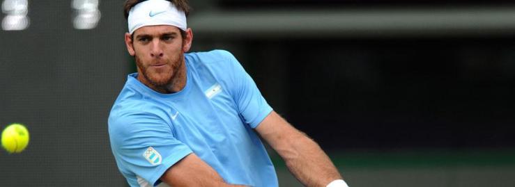 MartinDelPotro