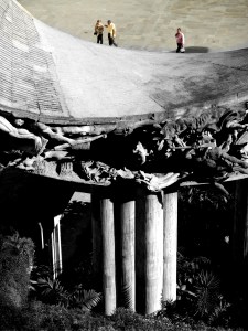 Zona del Ayuntamiento de Medellïn Zona del Ayuntamiento de Medellïn