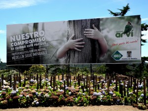 Bienvenidos al parque