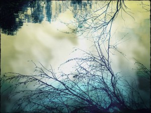 Fantasía en Intiyaco bis