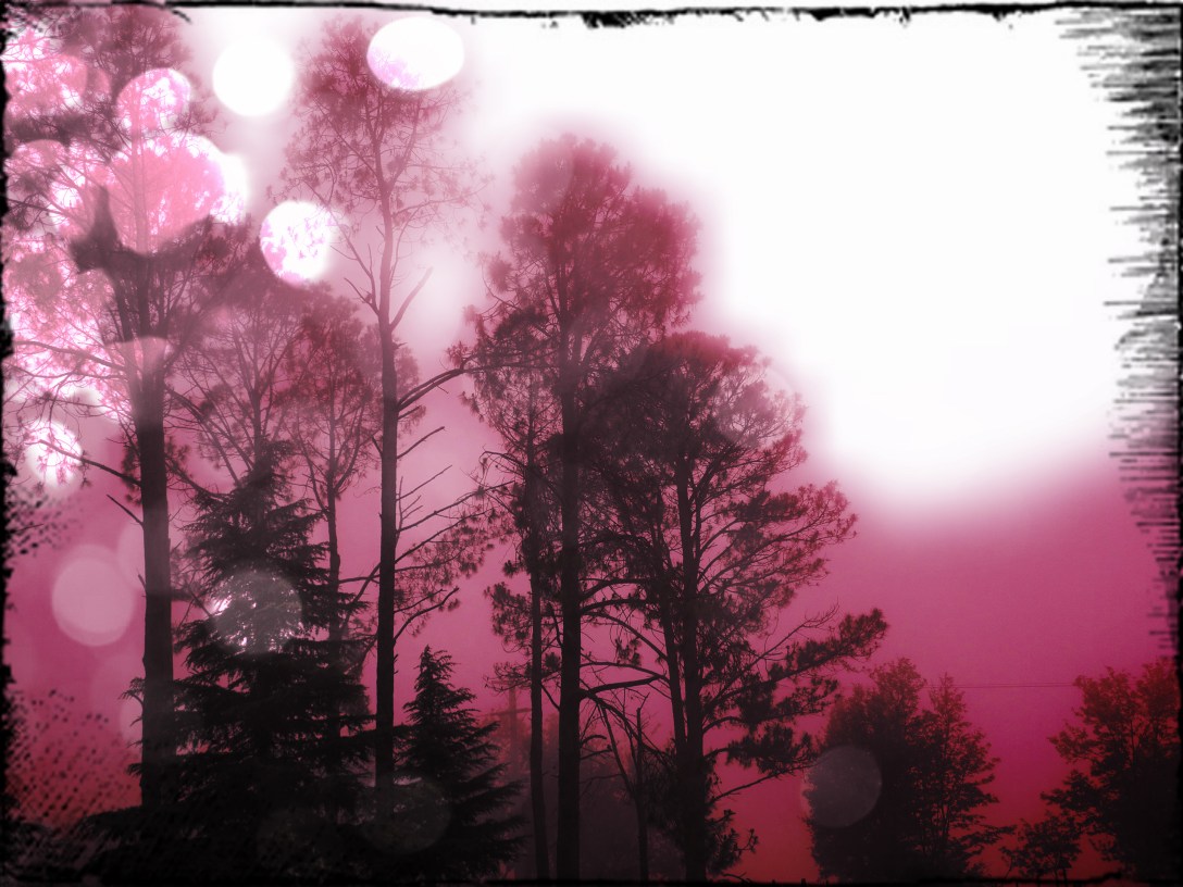 Fantasía en Intiyaco