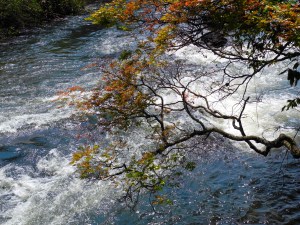 Cataratas del Iguazú foto 2