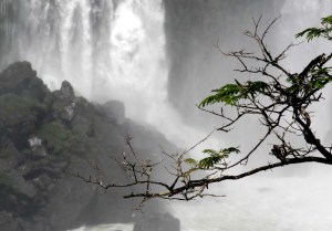 Cataratas del Iguazú foto 5