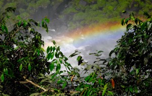 Cataratas del Iguazú foto 6