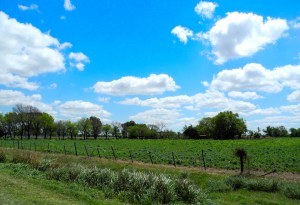 Volviendo de cataratas al paisaje tradicional