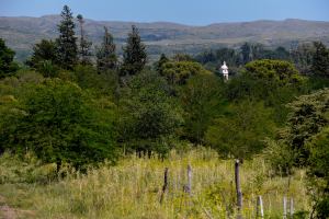 Villa Giardino foto 2