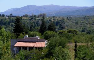 Villa Giardino foto 3