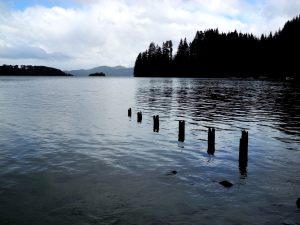 Bahía Manzano, Villa la Angostura