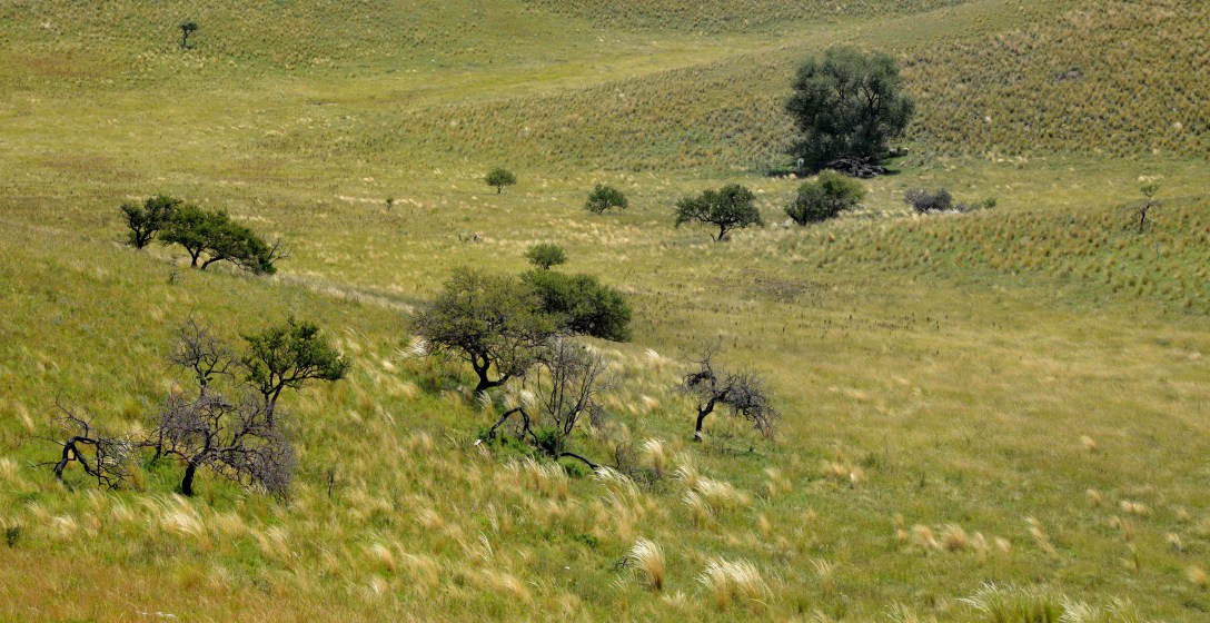 Camino al cuadrado 1