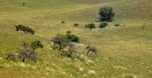 Camino al cuadrado 1