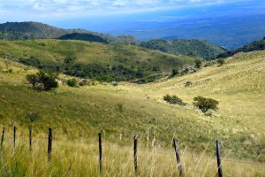 Camino al cuadrado 3