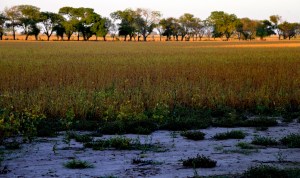 Al fondo, luz del nuevo día