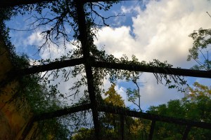 Mirando el cielo desde la tapera
