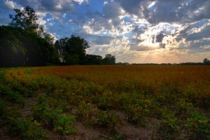 Amaneciendo nublado 2