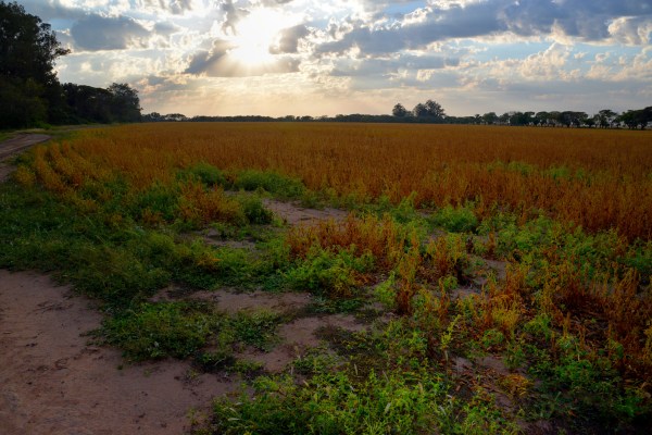 Pascua en San Teodoro, Río Primero, Córdoba