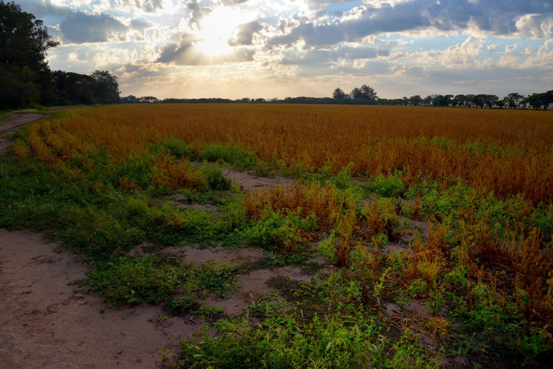Pascua en San Teodoro, Río Primero, Córdoba