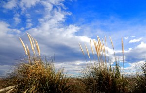 El cielo desde la bodega