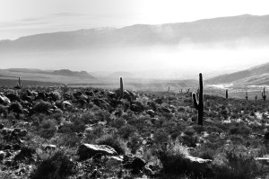 Paisaje Salteño dos