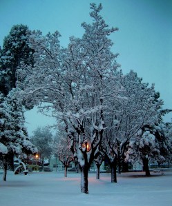 Nieve en Plaza de Esquel 1