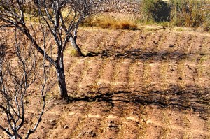 Desde el Pucará de Tilcara