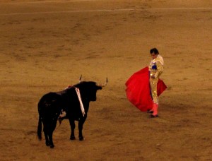 Torero y toro en la arena