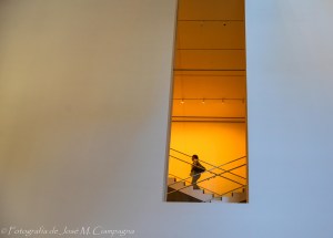 Imagen interior del MoMA