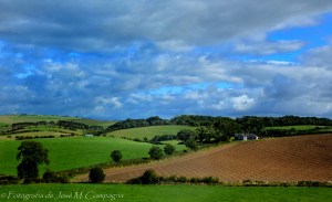 Campiña 2