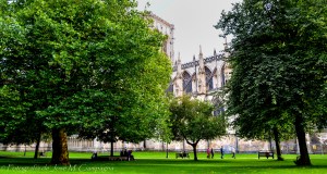 Parque lateral a la catedral