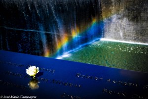 Una rosa blanca para Murray