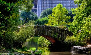 Central Park