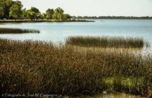 Laguna de Chascomús foto 2