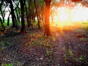 Amanecer en San Teodoro