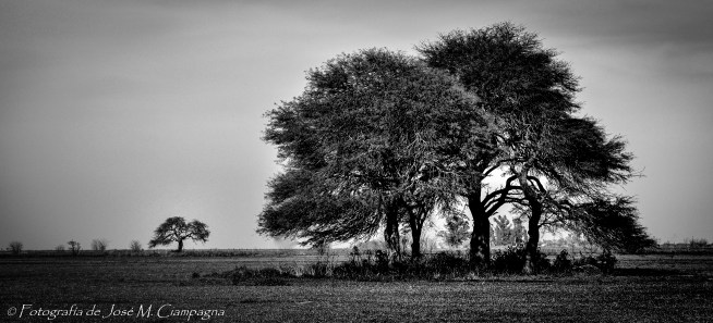 Paisaje de Campo en blanco y negro, Río Primero, Provincia de Córdoba