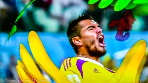 Mundial fútbol 2014 fotografía 5