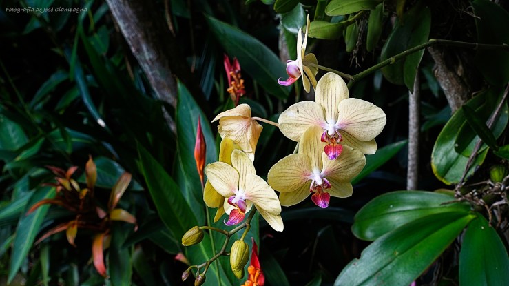 Colores de Costa Rica 2